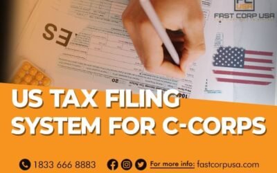 US Tax Filing System for C-Corps