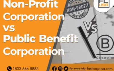 Contrasting Non-Profit Corporations and Public Benefit Corporations